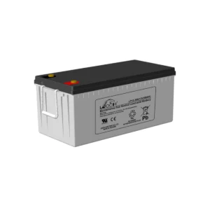 LEOCH 12V 200AH high-capacity battery